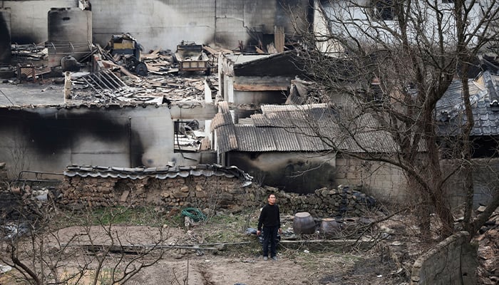 A resident is held near the burnt properties after a forest fire devastated the region, in Uiseong, South Korea on March 27, 2025. - Reuters