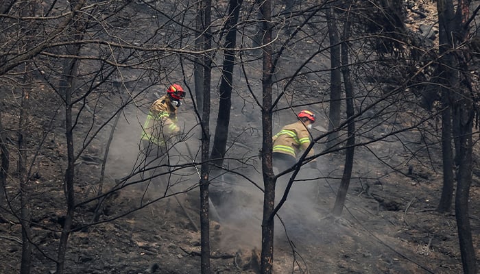 The firefighters turned off the embers on a mountain near the temple of Gounsa after a forest fire devastated the region, in Uiseong, in South Korea, March 27, 2025. - Reuters
