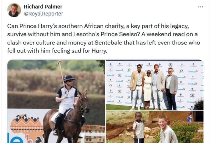 Can Prince Harrys Sentebale survive without him and Prince Seeiso?
