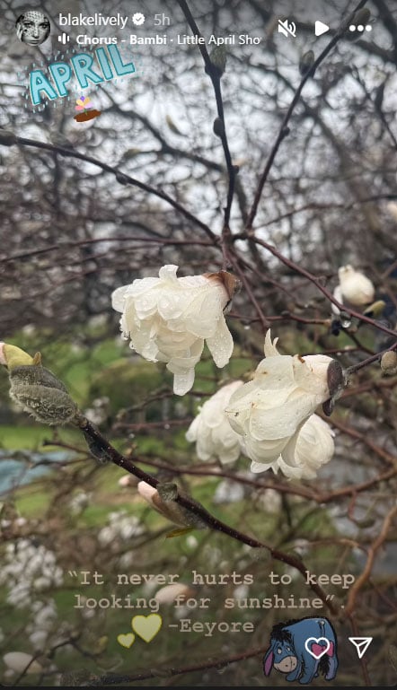 Blake Lively publishes a cryptic quote while the Justin Baldoni costume intensifies