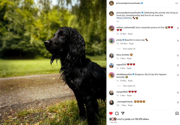 James Middleton breaks the silence on Kate Middleton, the last movement of Prince Williams