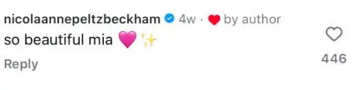 Romeo and Cruz Beckham Troll Brooklyns marries Nicola Peltz in the middle of the family quarrel
