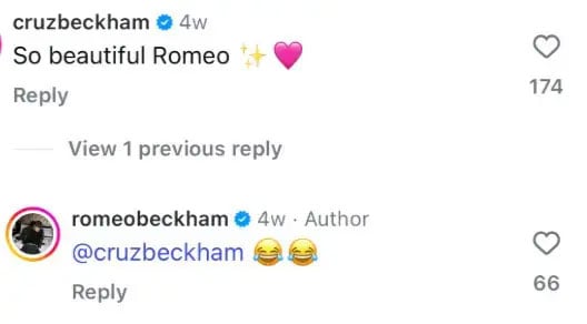 Romeo and Cruz Beckham Troll Brooklyns marries Nicola Peltz in the middle of the family quarrel