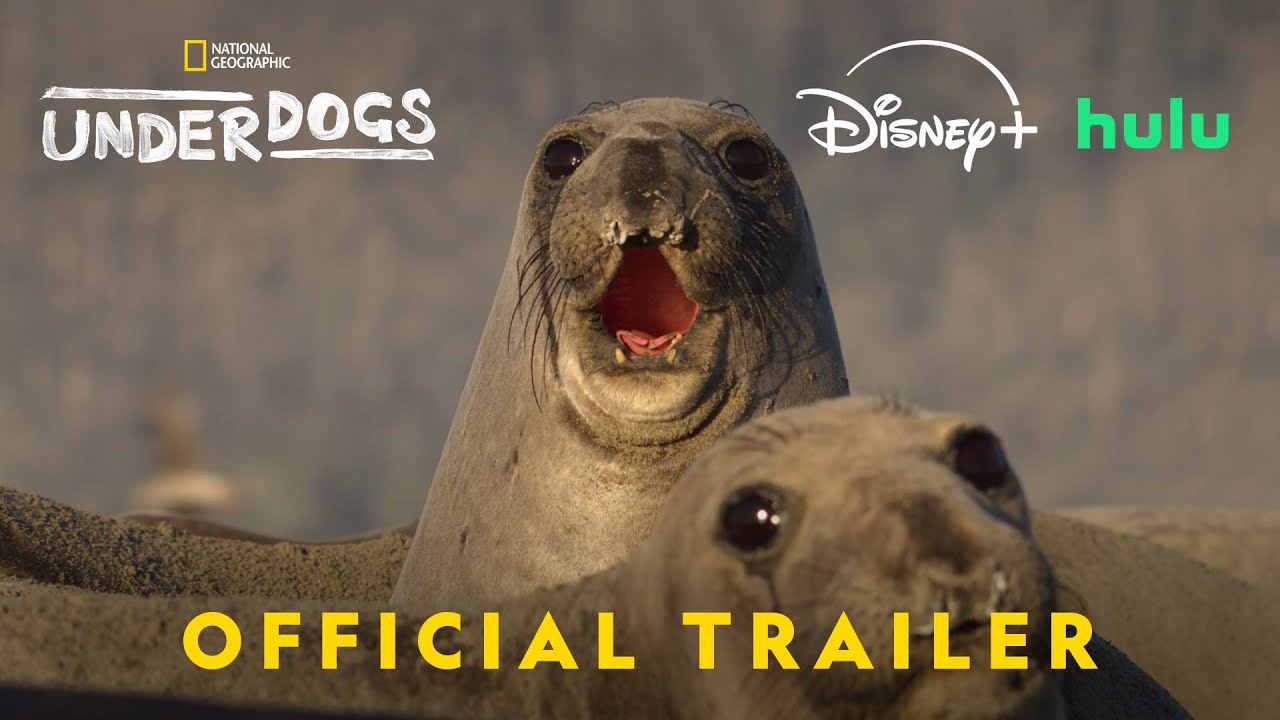 Outsiders | Official trailer | National Geographic - YouTube