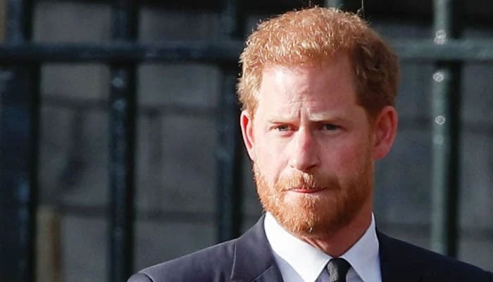 Prince Harry could cultivate his spare role, explains the expert