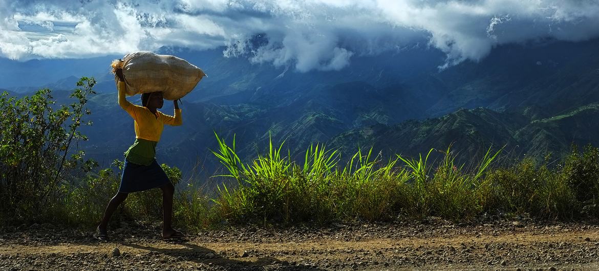 The long -term development of Haiti is at risk as funding decreases. The long -term development of Haiti is at risk as funding decreases.