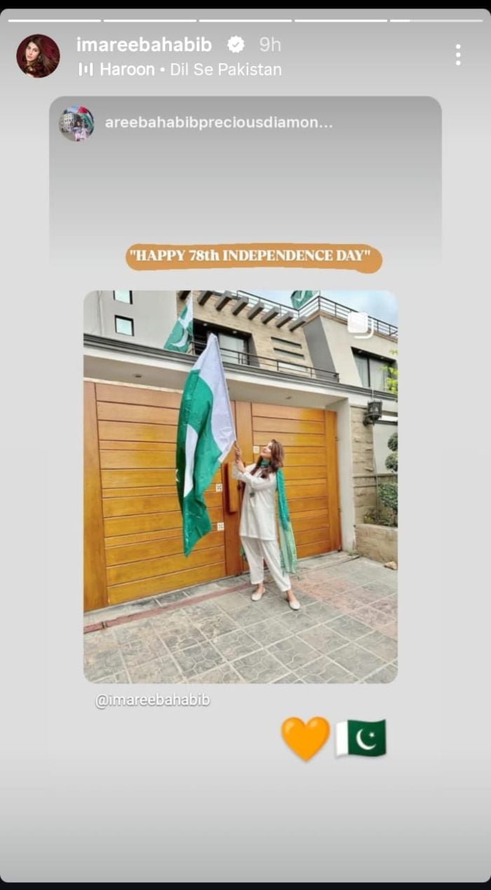 The actor Areeba Habibs published on August 14, celebrating independence day. - Instagram / @ Imareebahabib