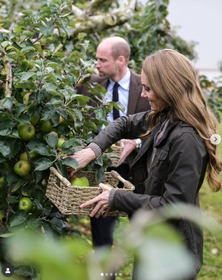 Prince William and Kate spring from the heart of Ireland's Orchard County