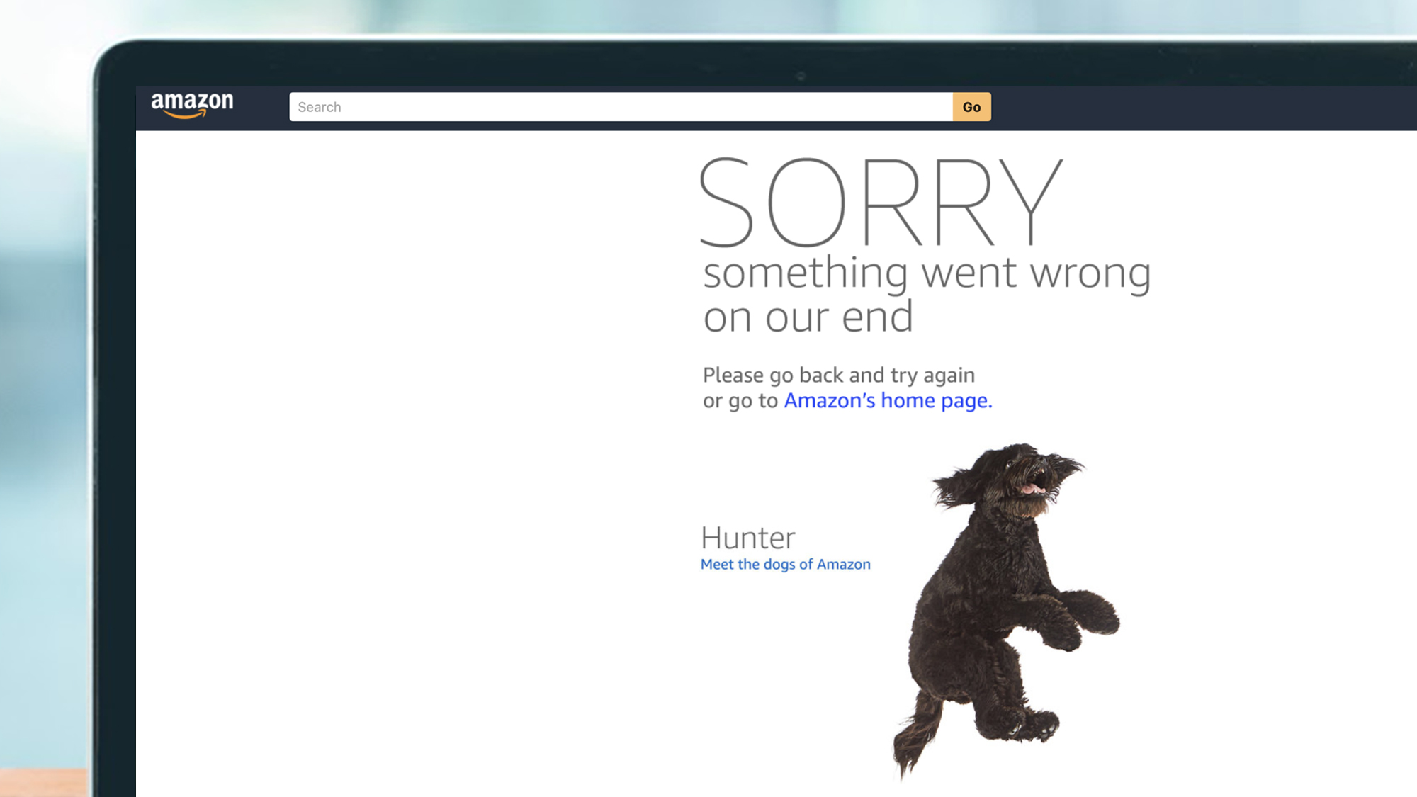 An error page on Amazon with a photo of a dog