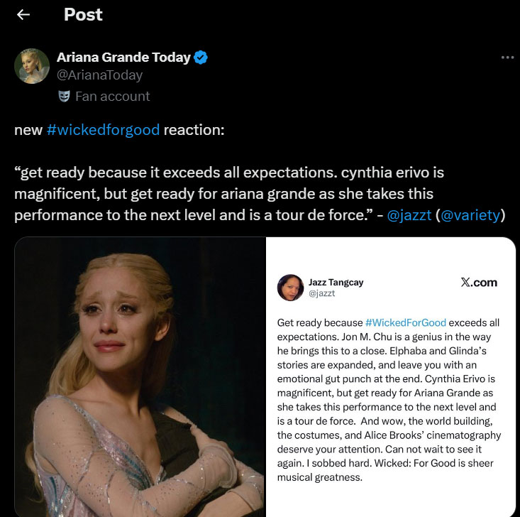 Critics share their verdict on Wicked: For Good