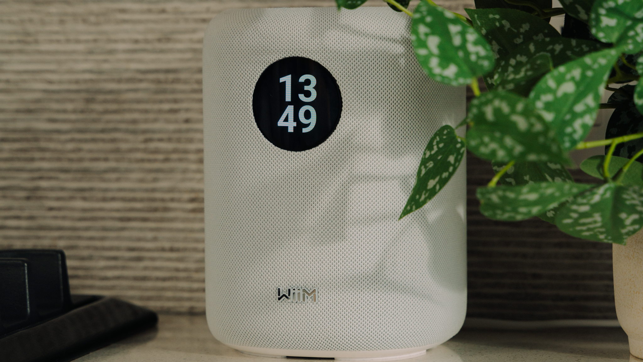 White WiiM Sound speaker next to a medium sized potted plant