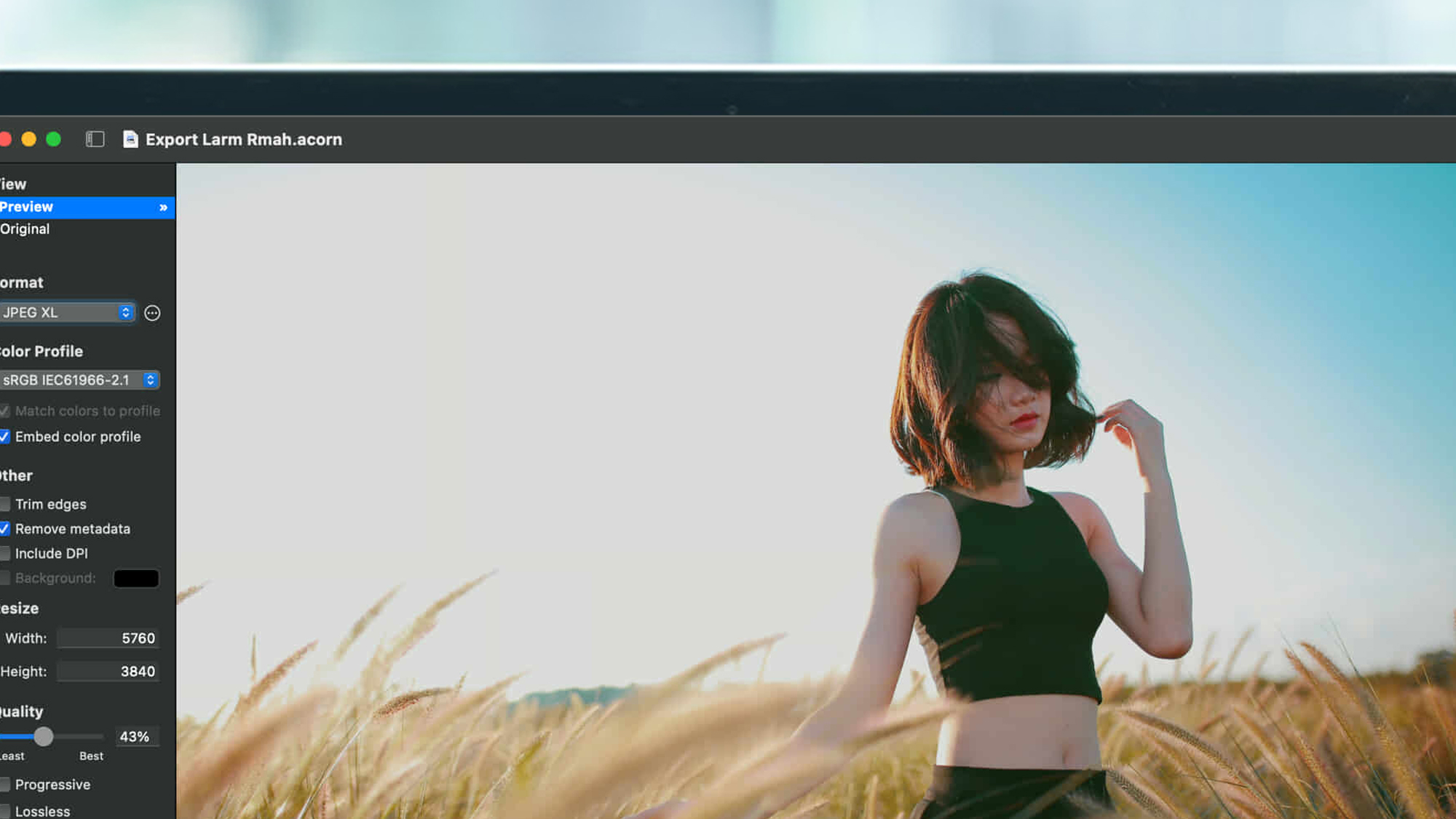 A laptop screen displaying the Acorn 8 app