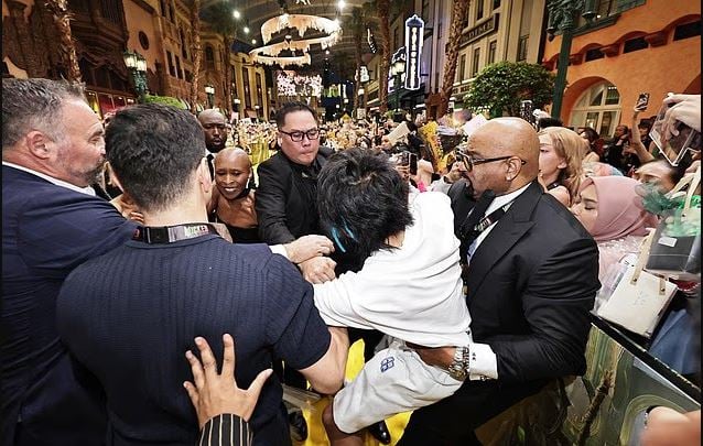 Ariana Grande Ambushing Wicked Premiere: Important Update