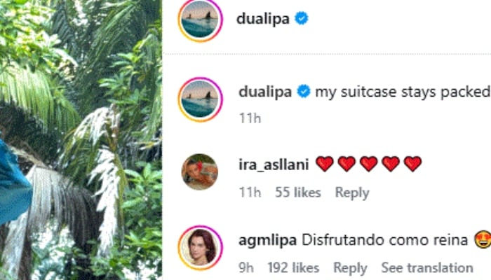 Dua Lipa enjoys a beach break after an emotional concert in Mexico City