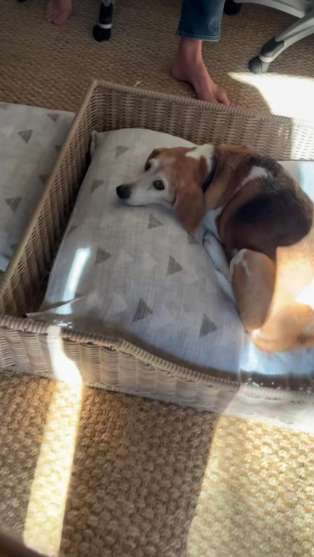 Prince Harry Reacts to Meghan Markle's Valentine's Day Gift: I Love You!