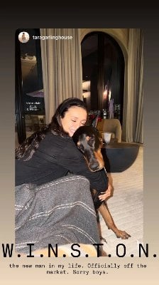 Source: Instagram/ninadobrev