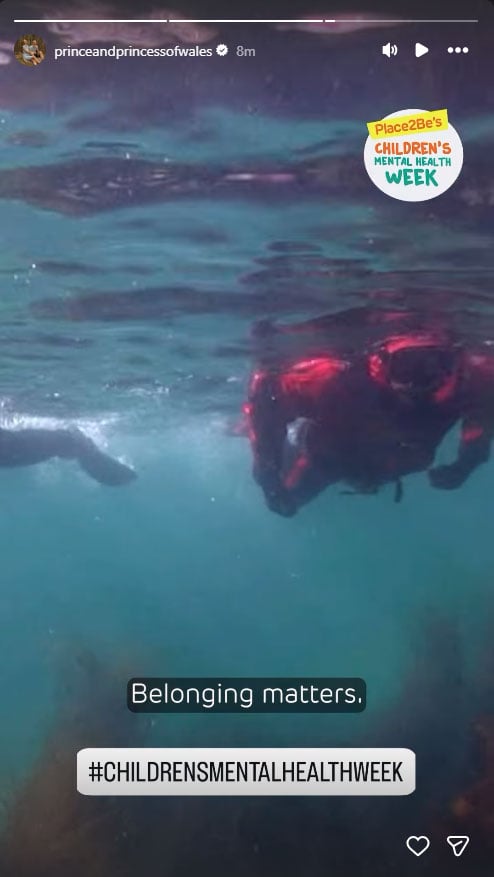 Prince William and Kate support Harry and Meghan's message: 'Belonging matters'