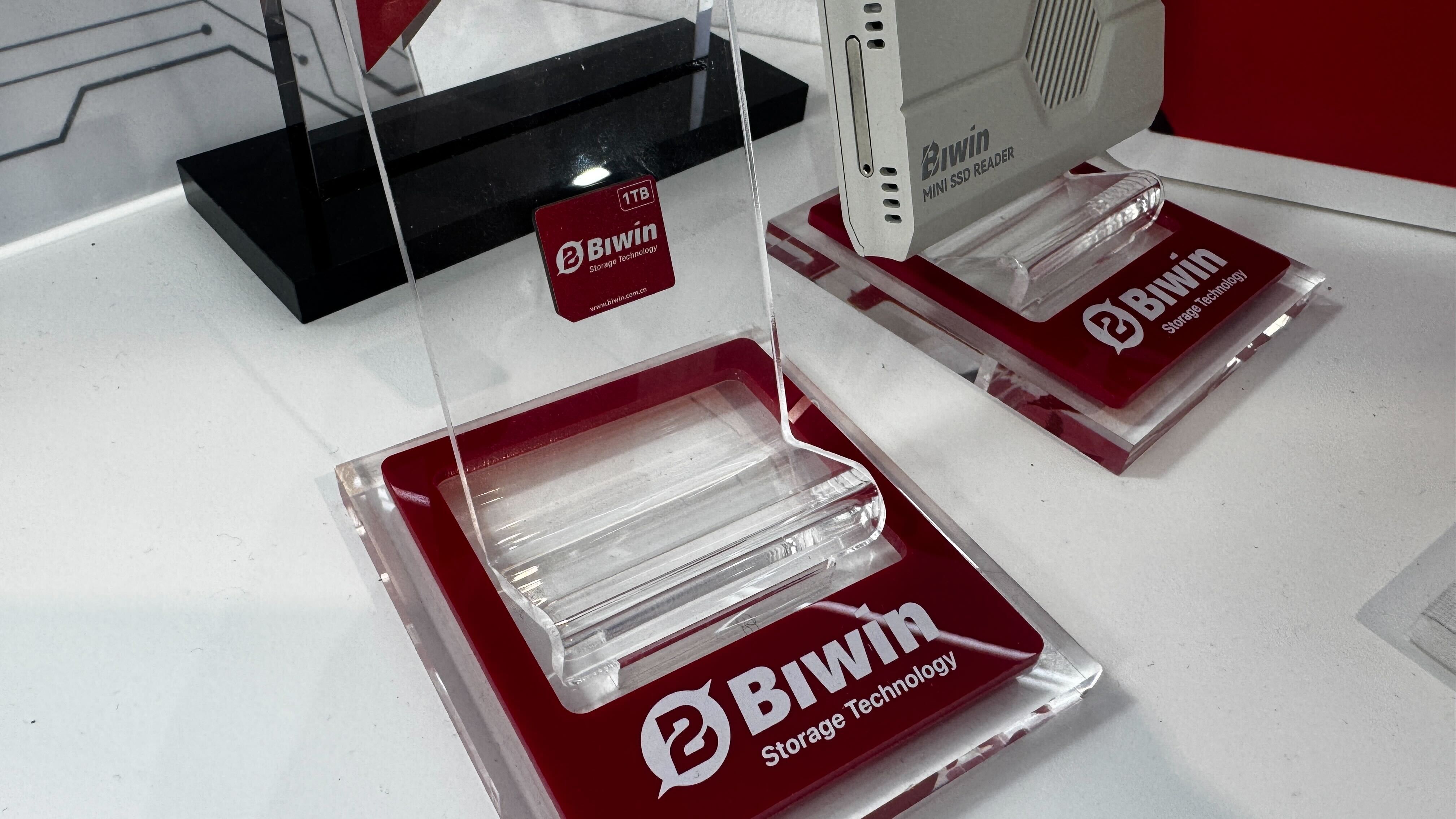Biwin CL100 Mini SSD