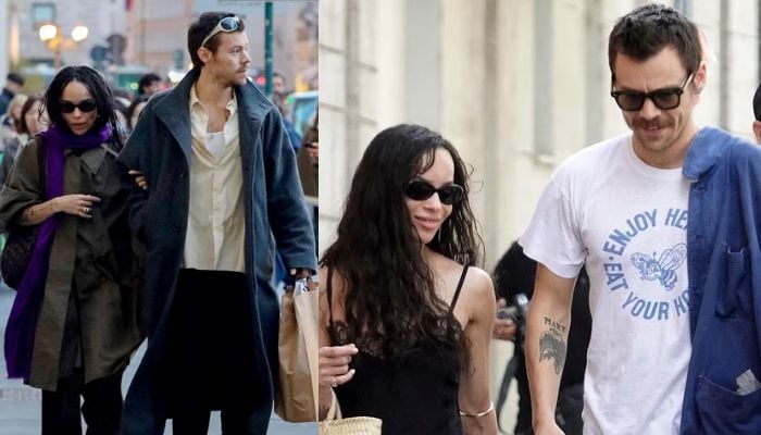 Harry Styles Shares Wedding Plans Amid Zoe Kravitz Romance Rumor