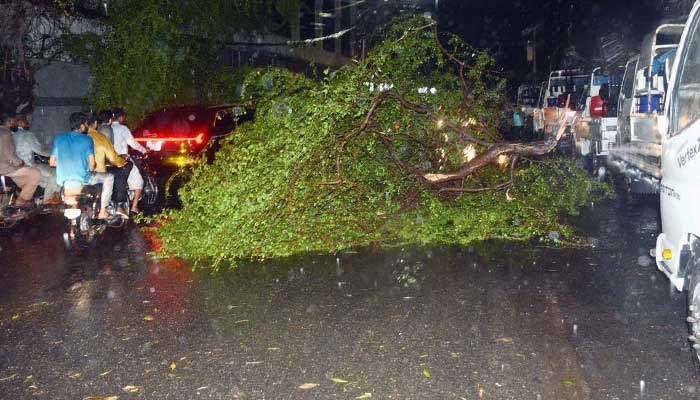 A fallen tree lies on a road after heavy rains, thunderstorms and strong winds lashed Karachi, March 18, 2026. — APP