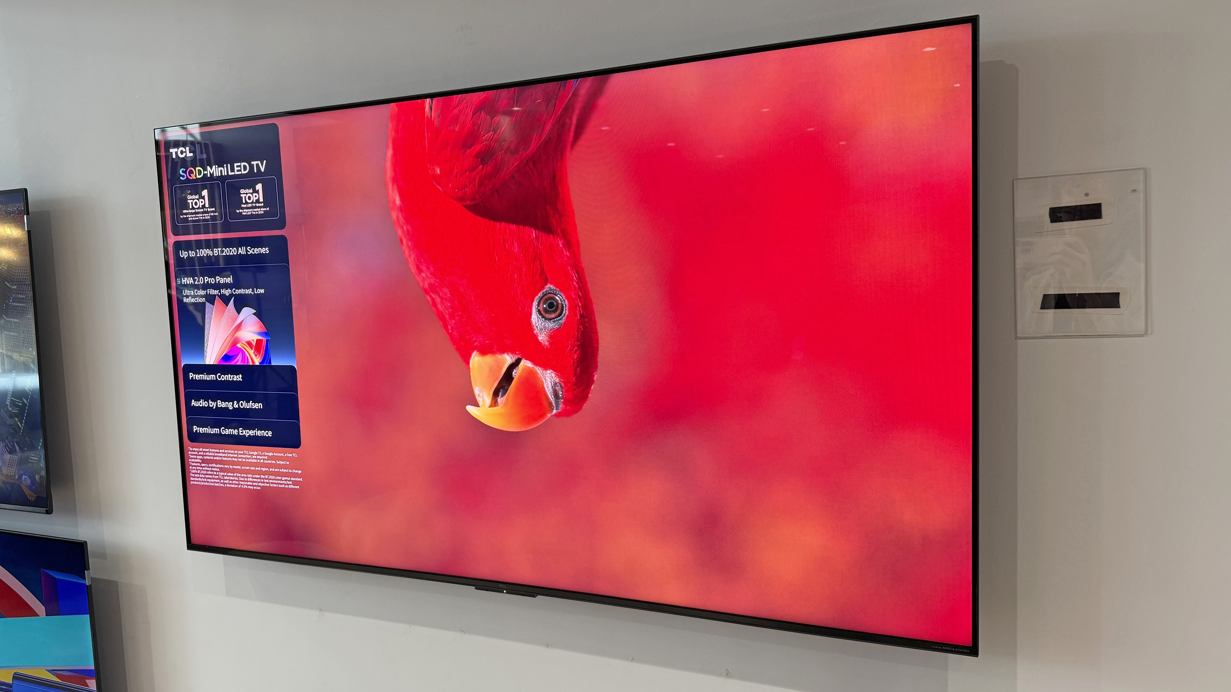 The TCL C7L TV at a launch event, with the image of a red parrot hanging from the top of the screen, against a very red background, showing strong color depth on the TV.