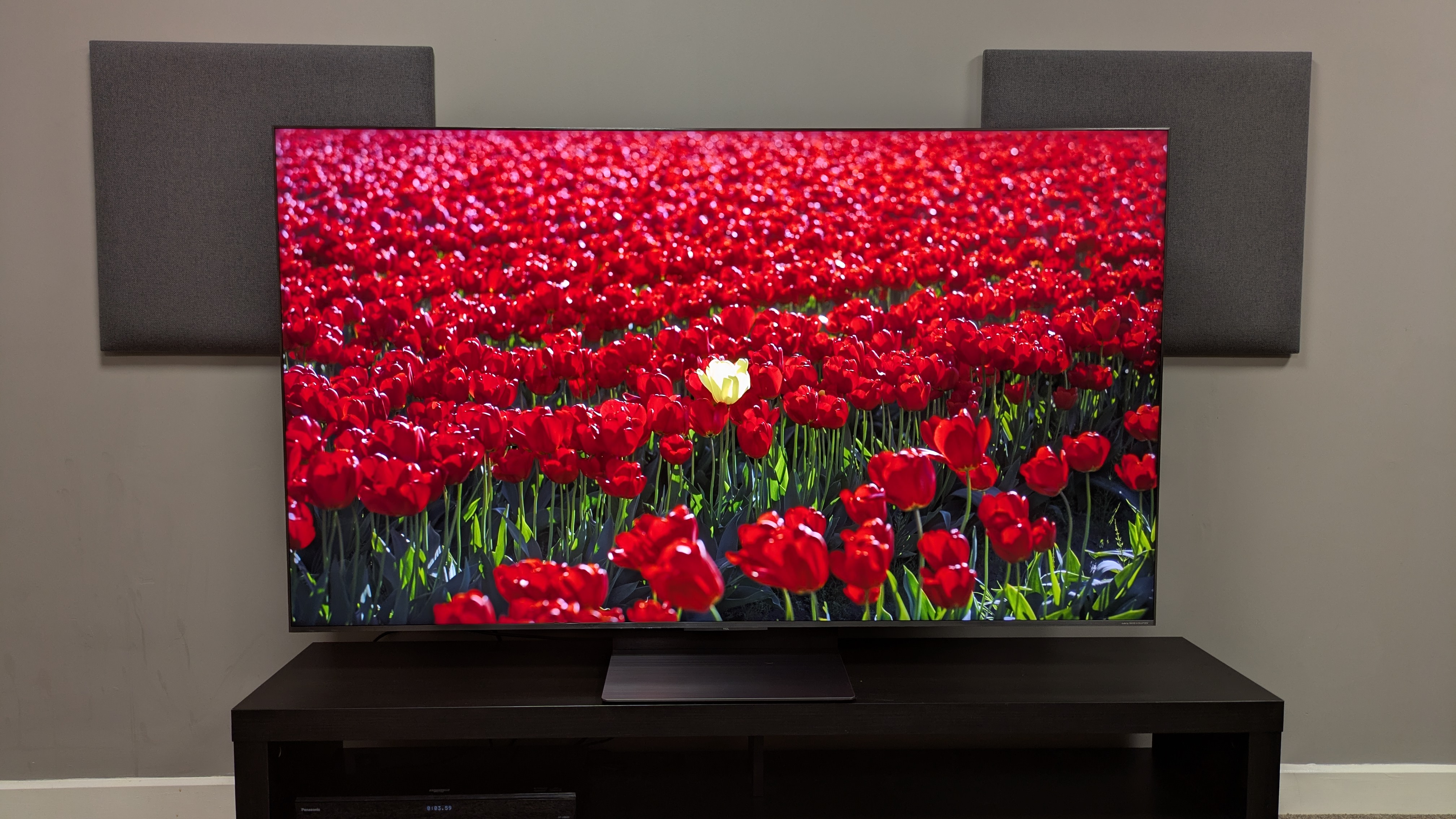 TCL C8K with red flowers on screen