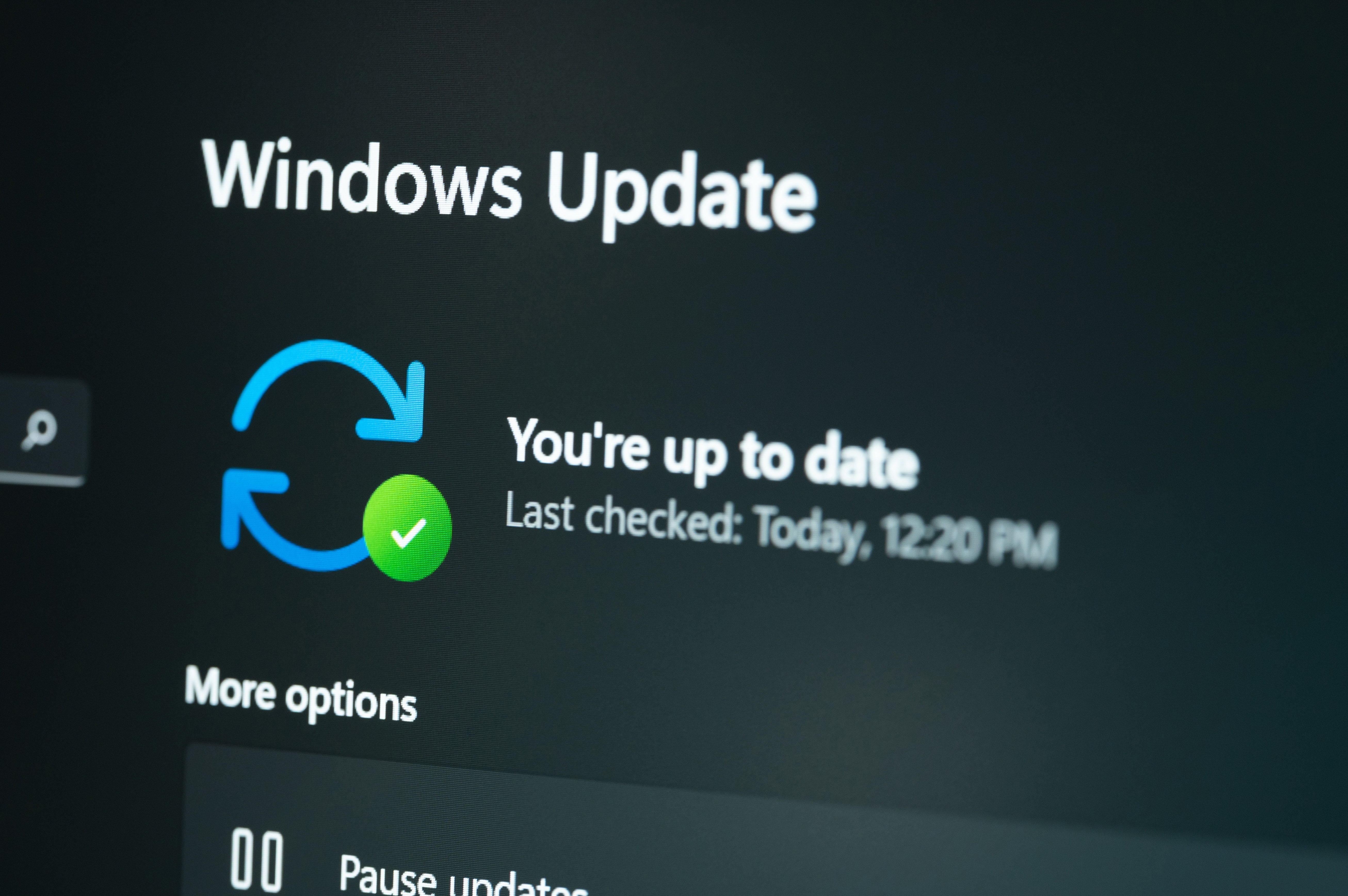 Checking Windows update on laptop screen, close-up view
