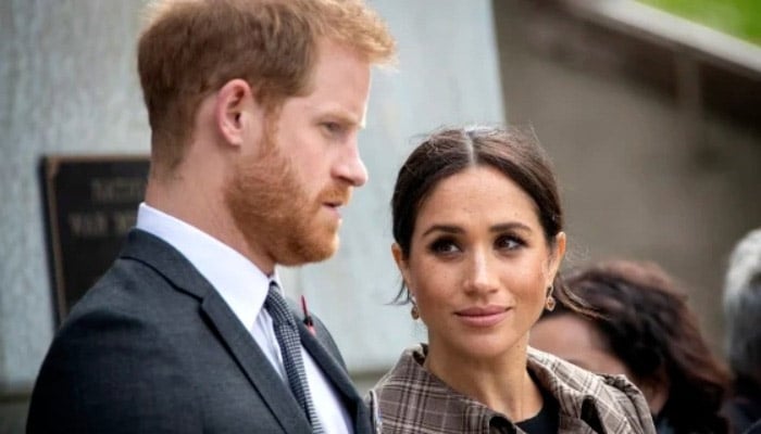 Meghan Markle withdraws from Prince Harry's UK project as separation deepens