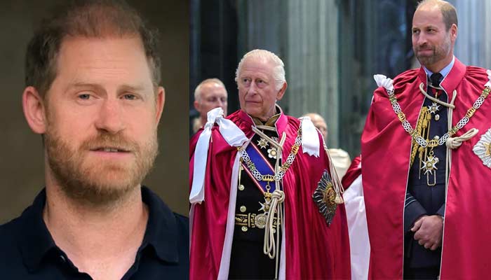 Prince Harry nods to Prince William and King Charles in surprise video message