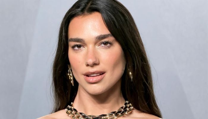 Dua Lipa and Callum Turner spent years planning major changes to the property